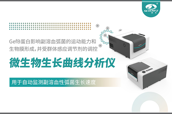 論文分享｜基于MGC系列揭示環(huán)境鎂離子對(duì)副溶血性弧菌毒力與生物膜形成的全局調(diào)控