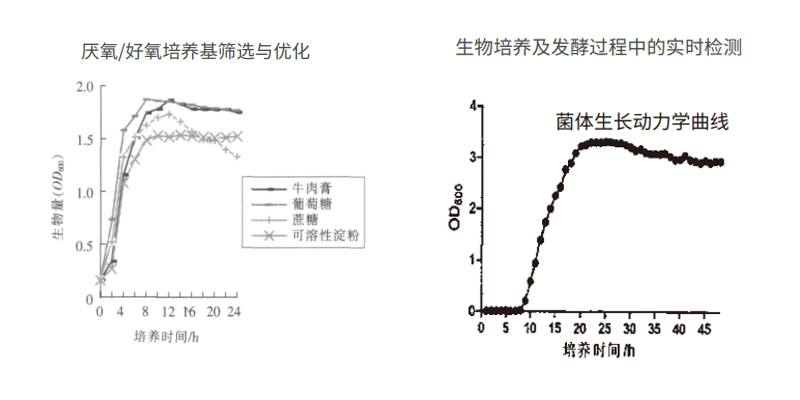 過程安全，結(jié)果精準